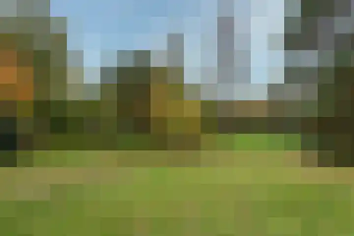 Strausslaan 25 Zeist thumbnail 45