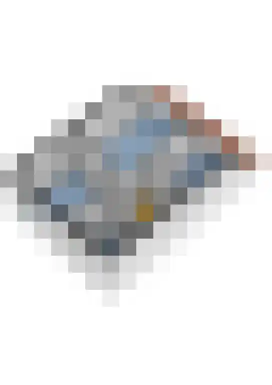 Strausslaan 25 Zeist thumbnail 49