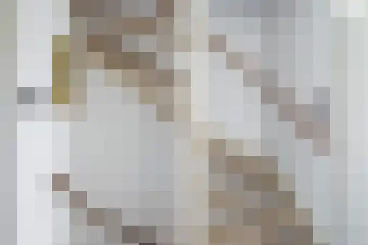 Strausslaan 28 Zeist thumbnail 15