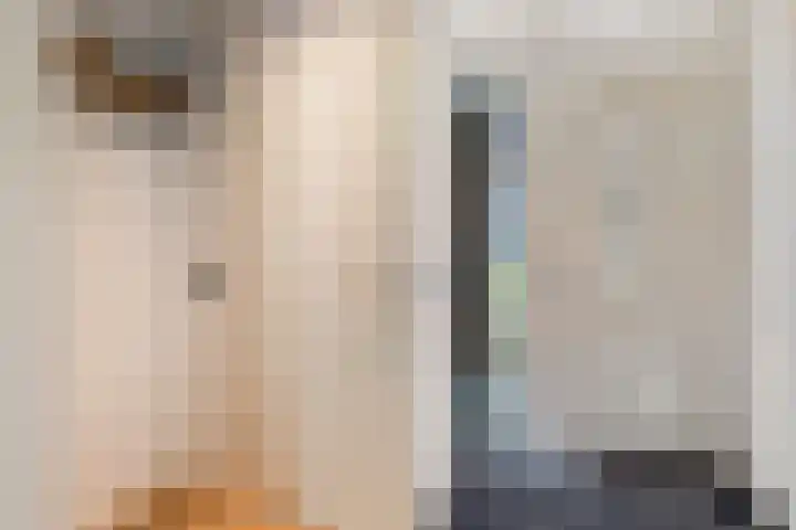 Strausslaan 28 Zeist thumbnail 7