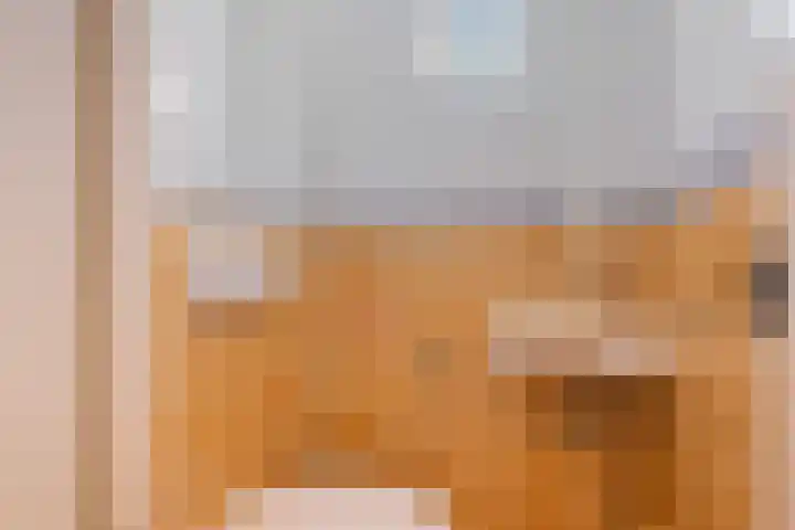 Strausslaan 28 Zeist thumbnail 8