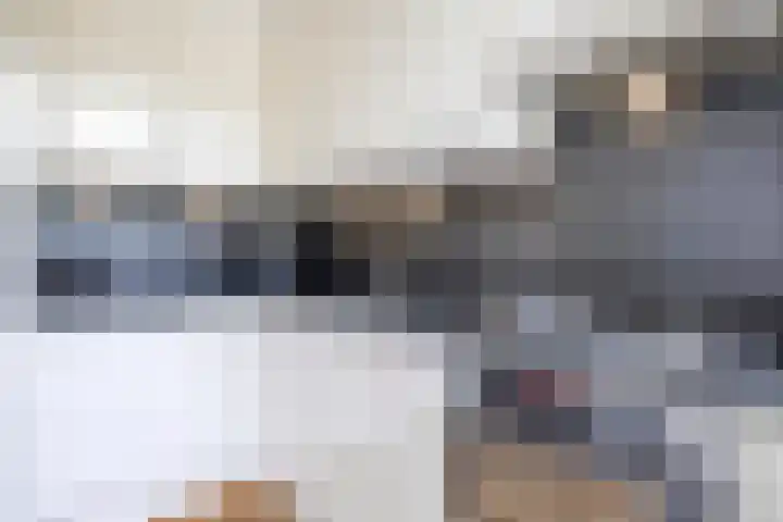 Strausslaan 3 Groningen thumbnail 10
