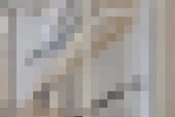 Strausslaan 3 Groningen thumbnail 11