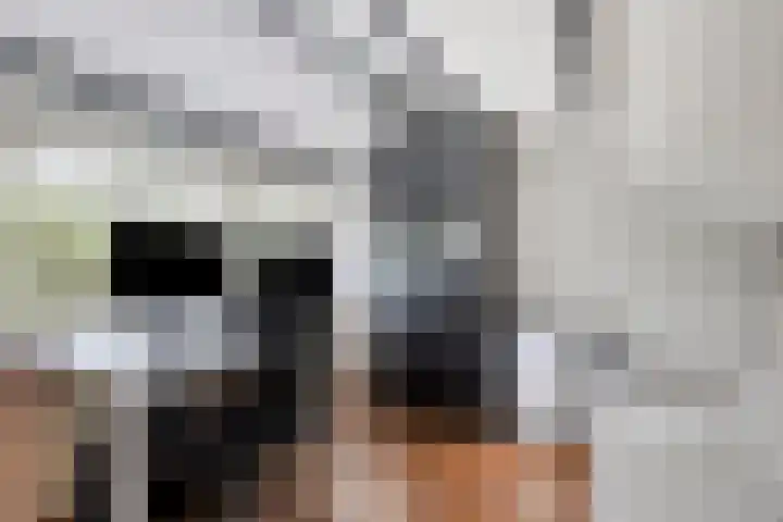 Strausslaan 3 Groningen thumbnail 21