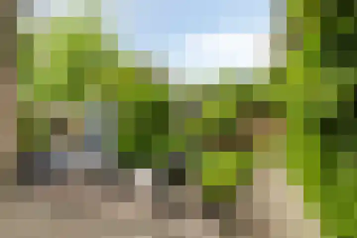 Strausslaan 3 Groningen thumbnail 22