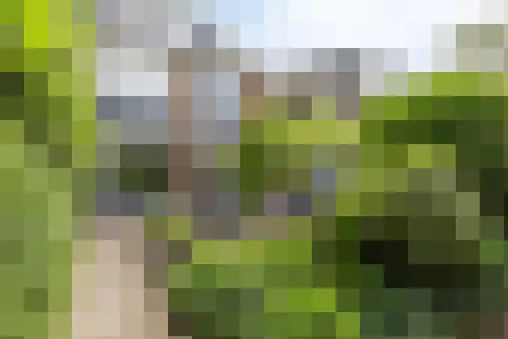 Strausslaan 3 Groningen thumbnail 23