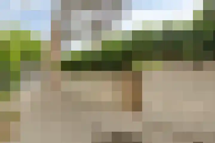Strausslaan 3 Groningen thumbnail 26