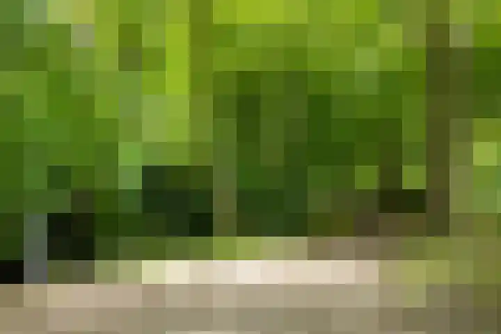 Strausslaan 3 Groningen thumbnail 27