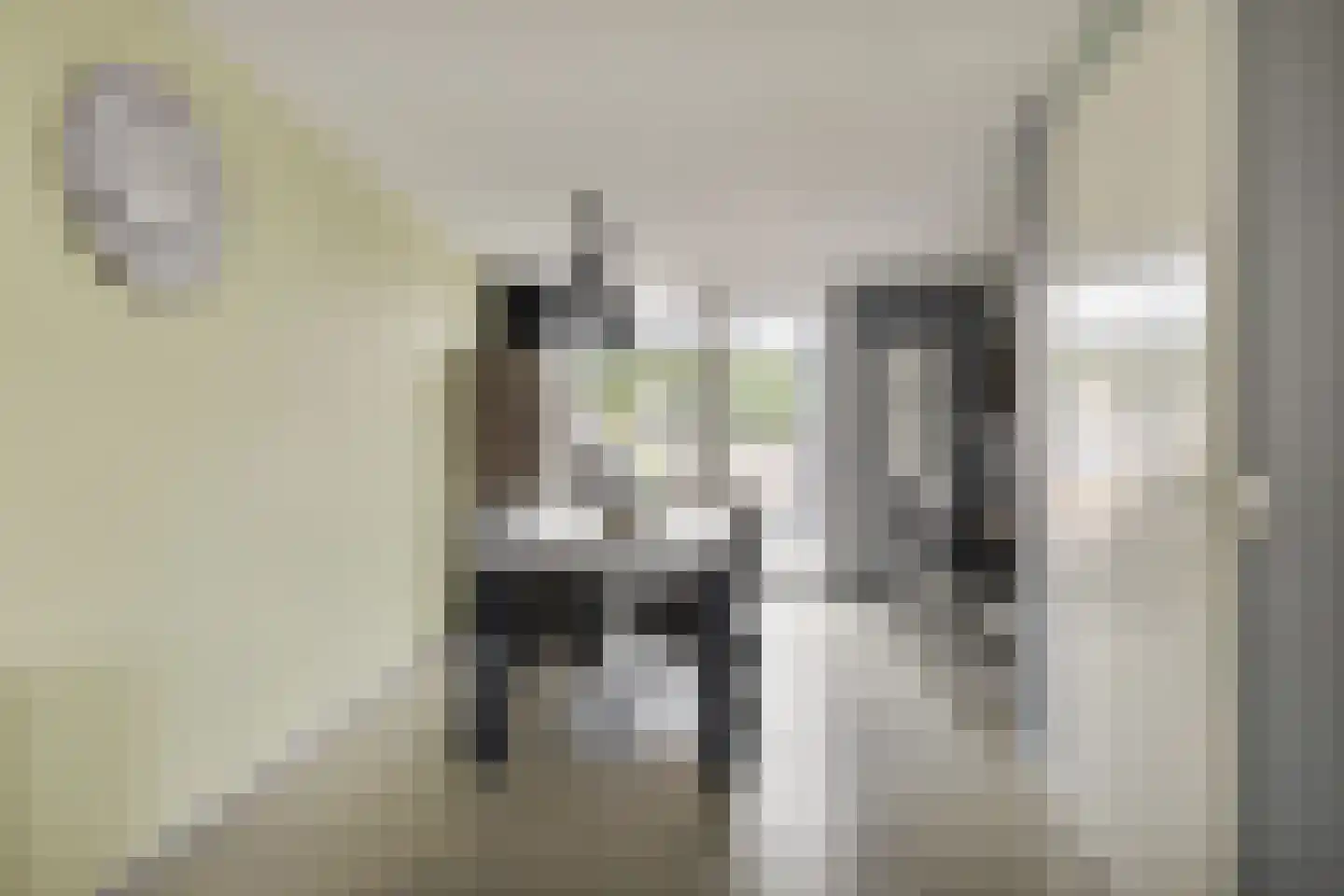 Strausslaan 3 Hulst thumbnail 11