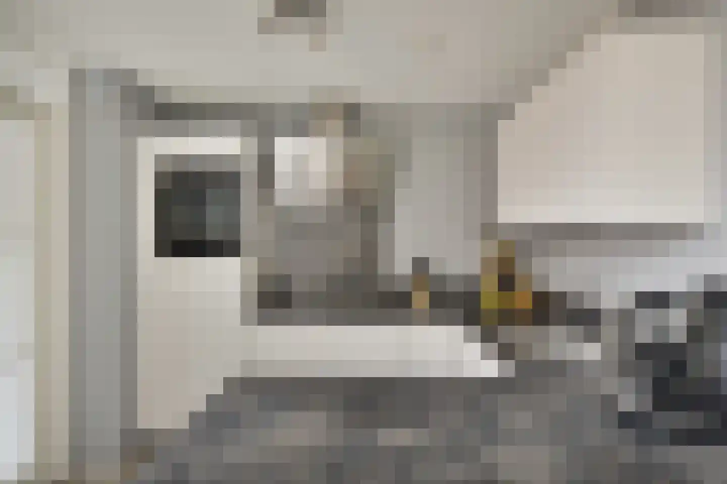 Strausslaan 3 Hulst thumbnail 14