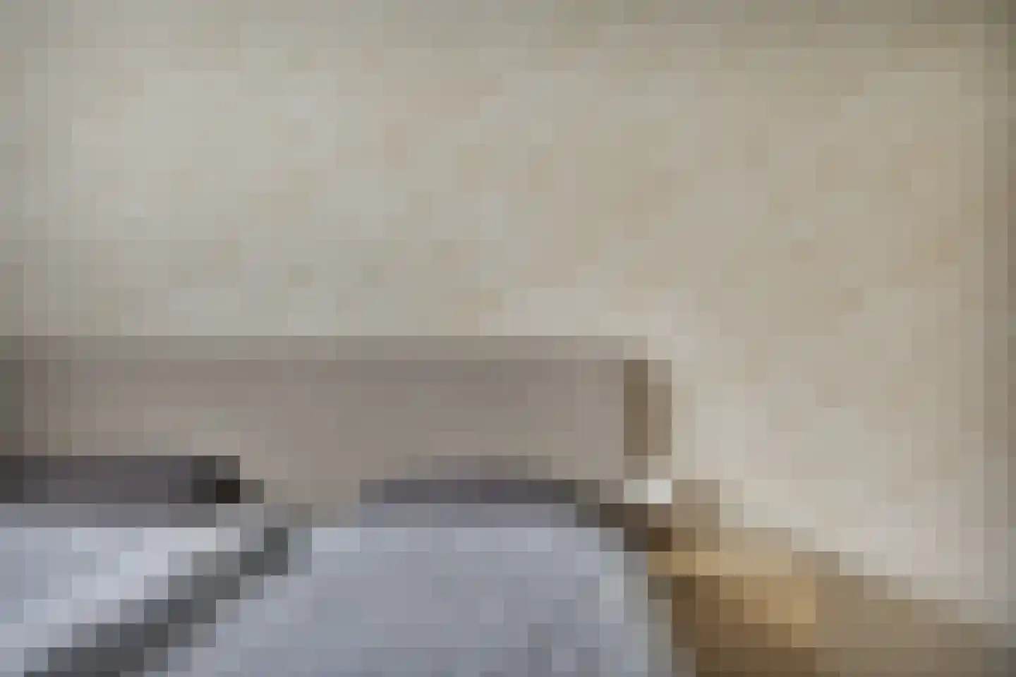 Strausslaan 3 Hulst thumbnail 27