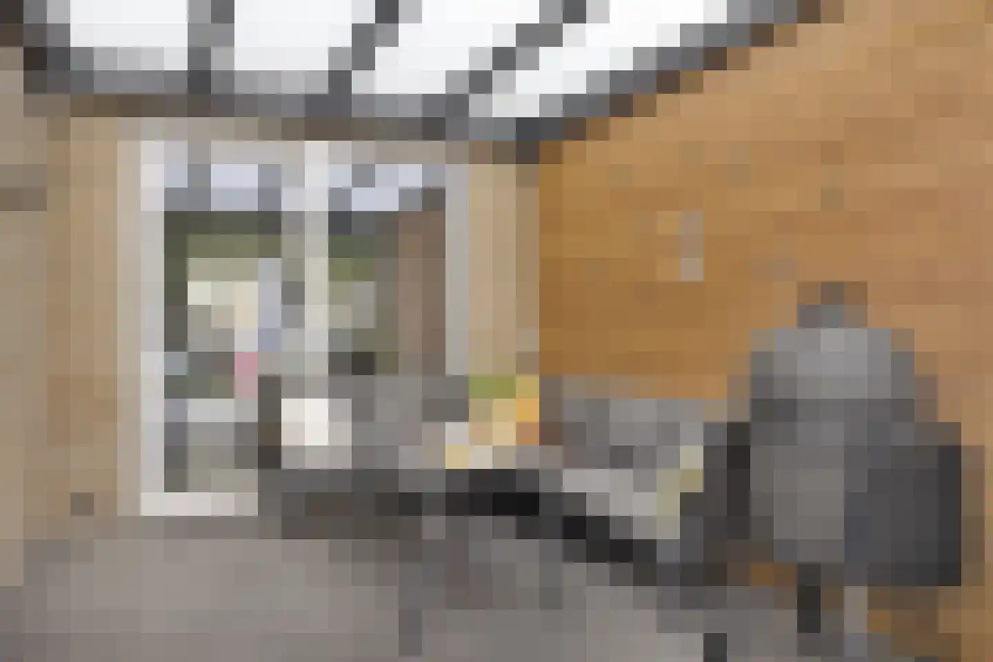 Strausslaan 3 Hulst thumbnail 41