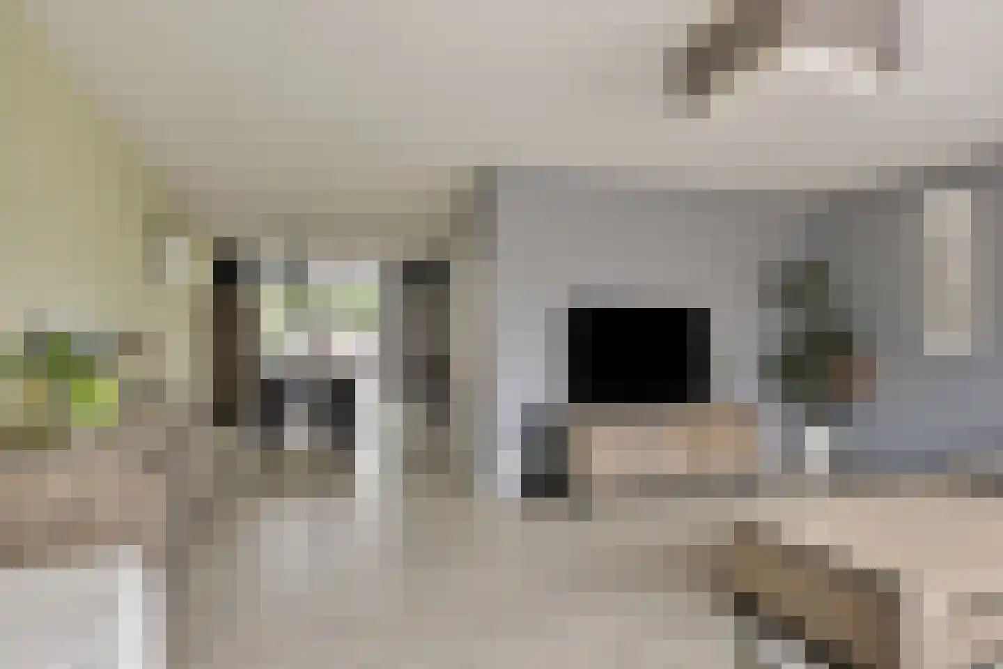 Strausslaan 3 Hulst thumbnail 8
