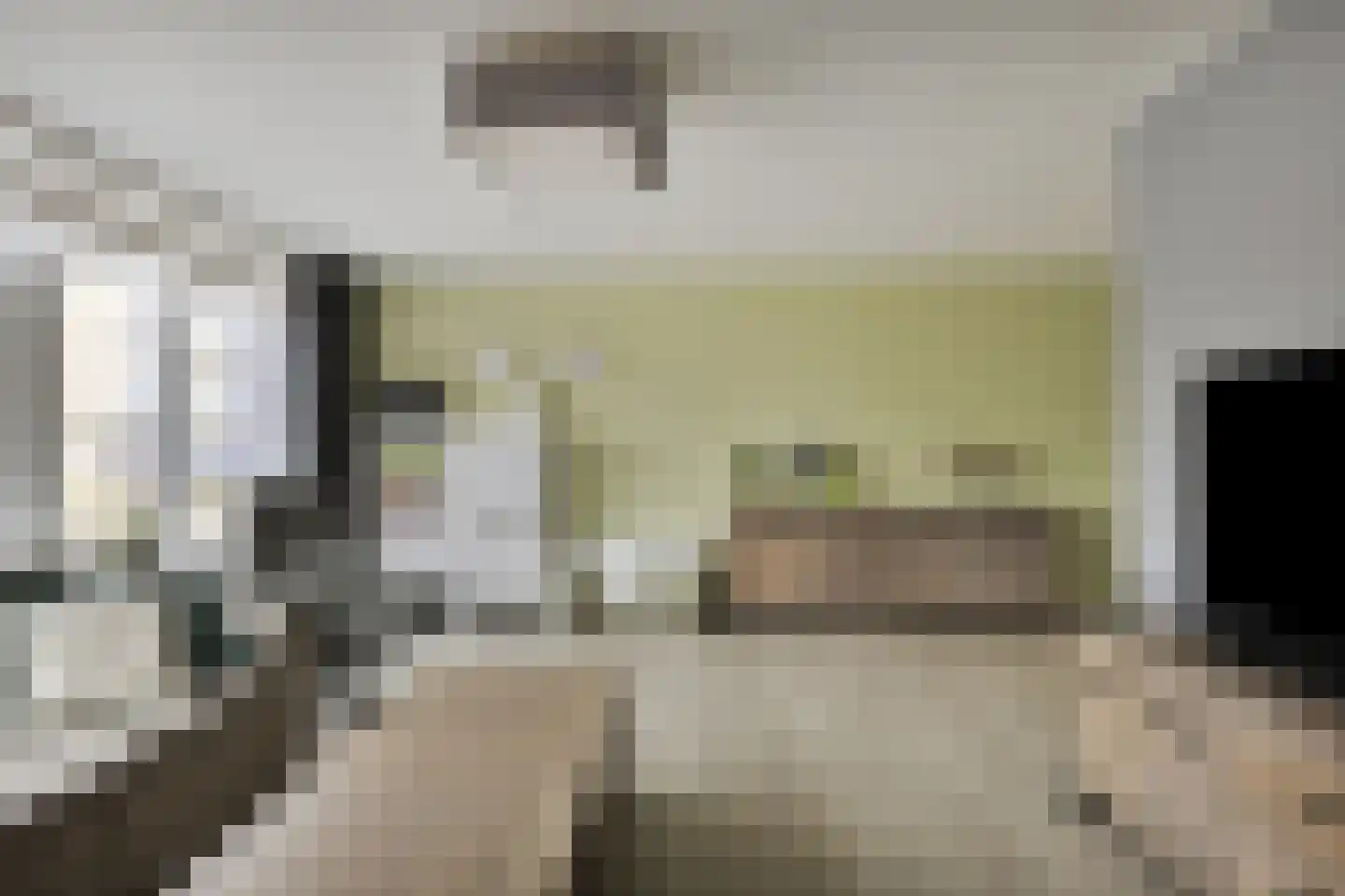 Strausslaan 3 Hulst thumbnail 9