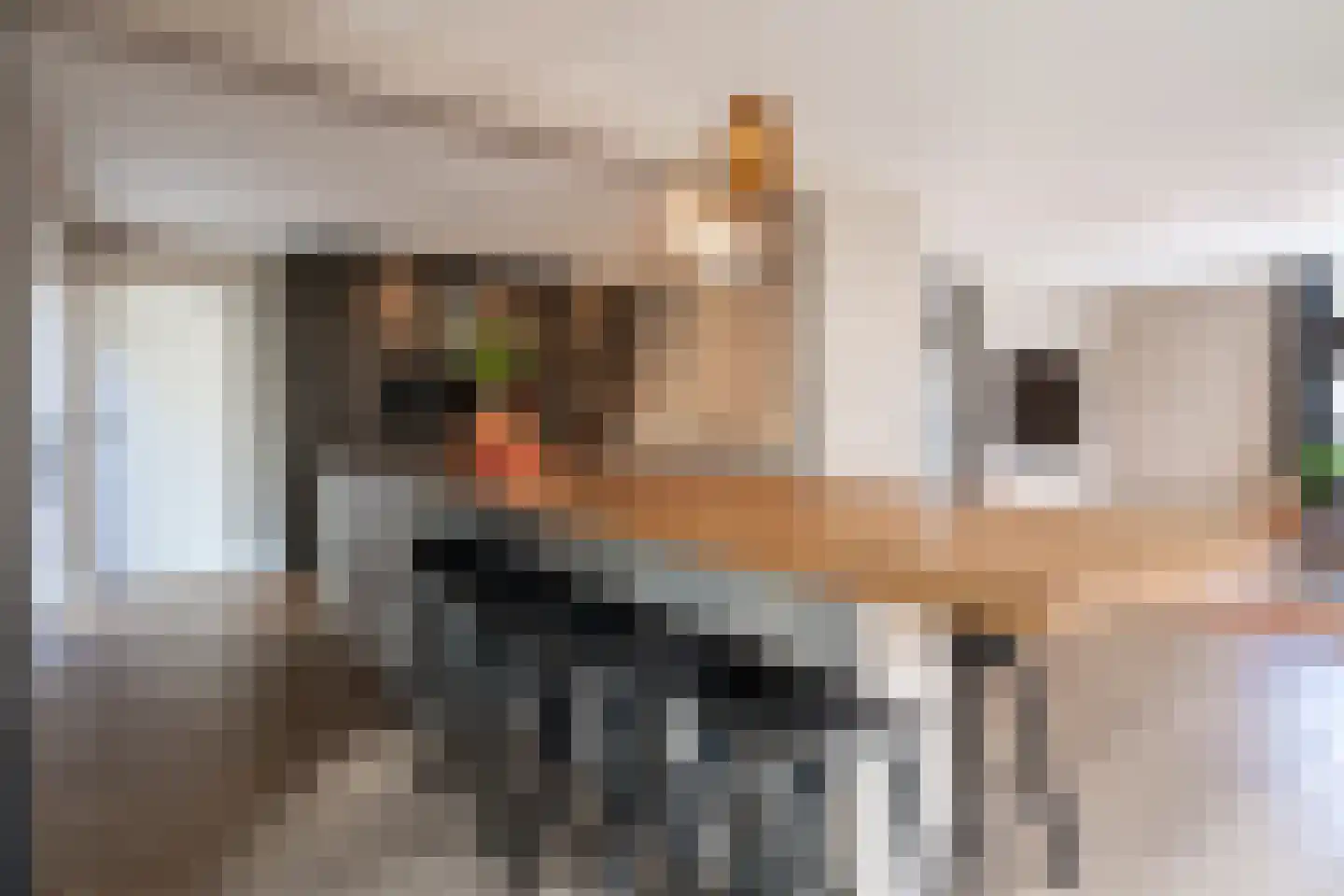 Strausslaan 3 Oss thumbnail 12
