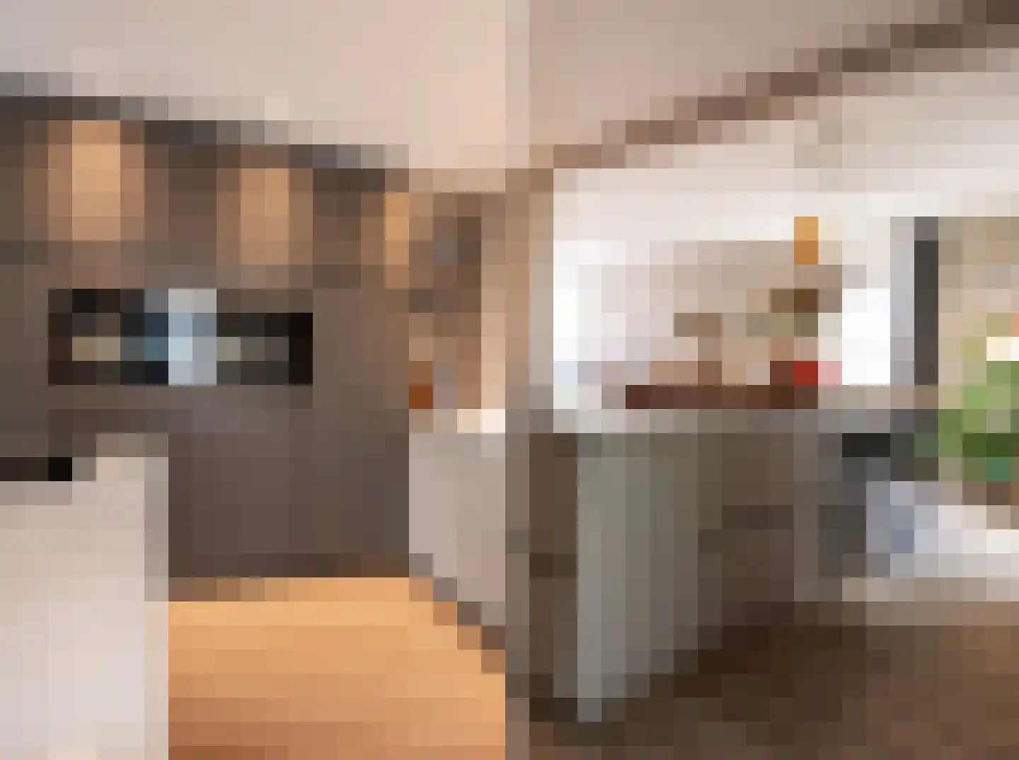 Strausslaan 3 Oss thumbnail 13