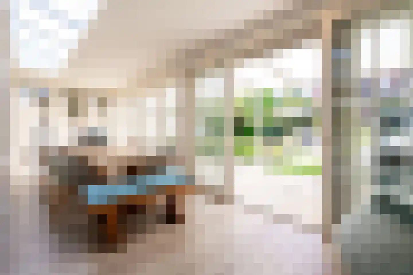 Strausslaan 3 Oss thumbnail 15