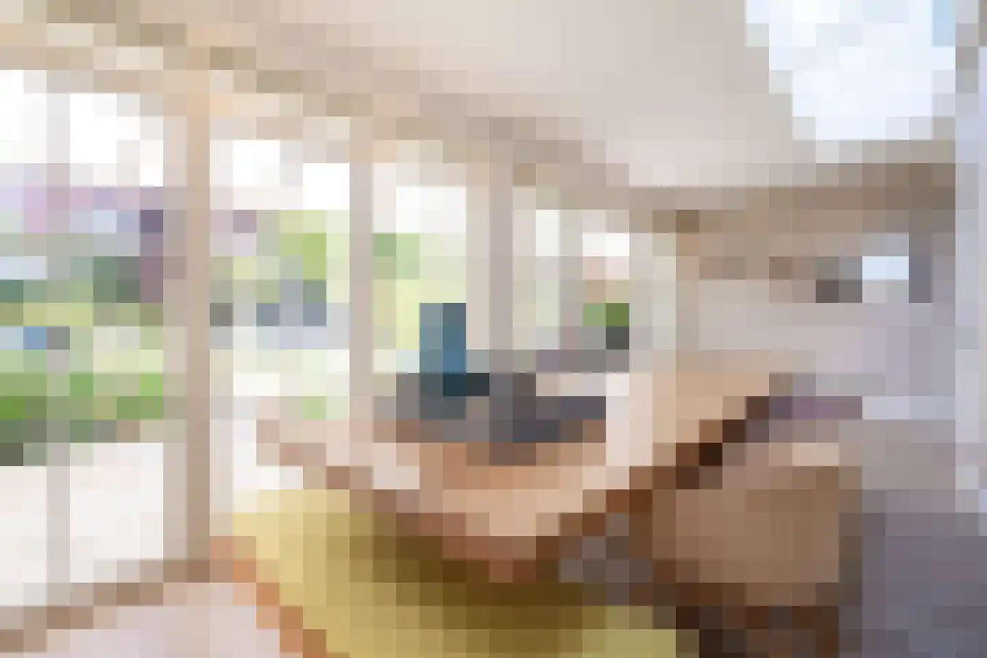 Strausslaan 3 Oss thumbnail 16