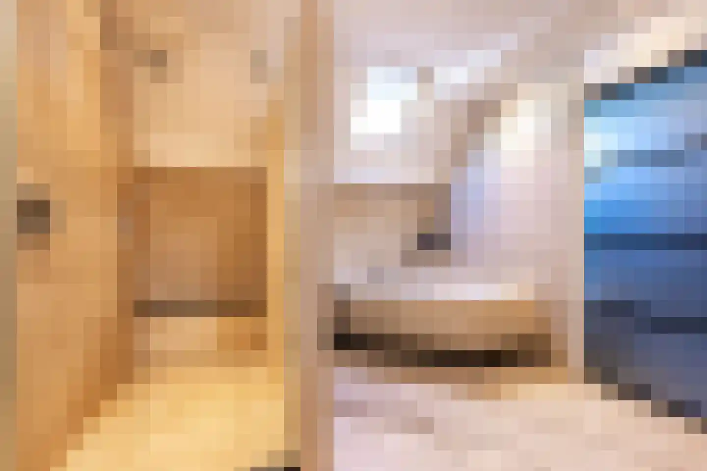 Strausslaan 3 Oss thumbnail 21