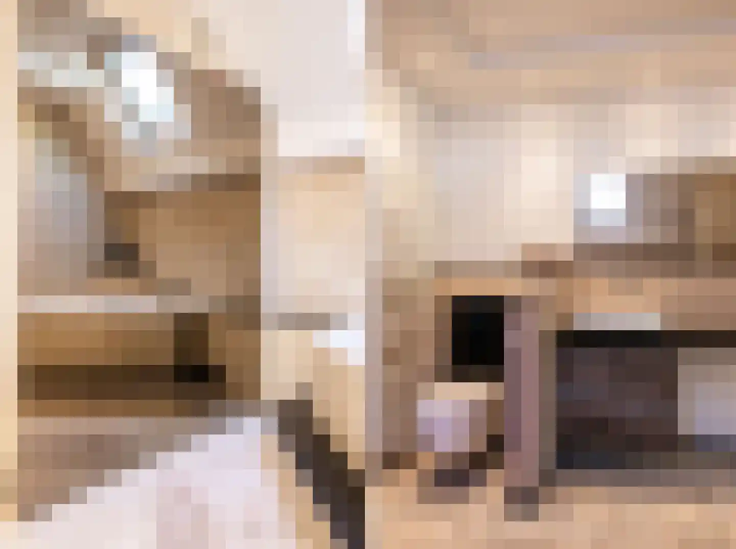 Strausslaan 3 Oss thumbnail 22