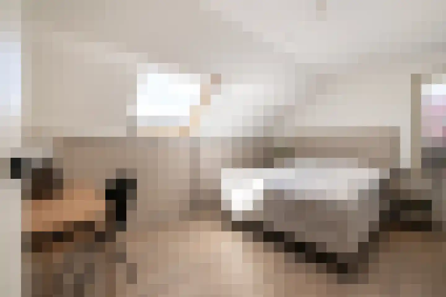 Strausslaan 3 Oss thumbnail 26