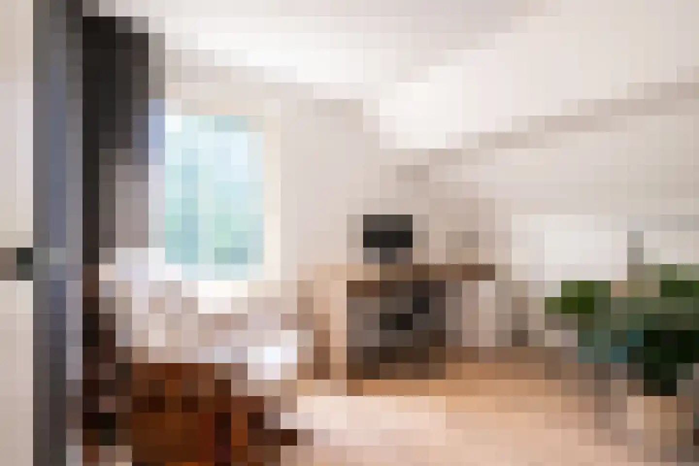Strausslaan 3 Oss thumbnail 28