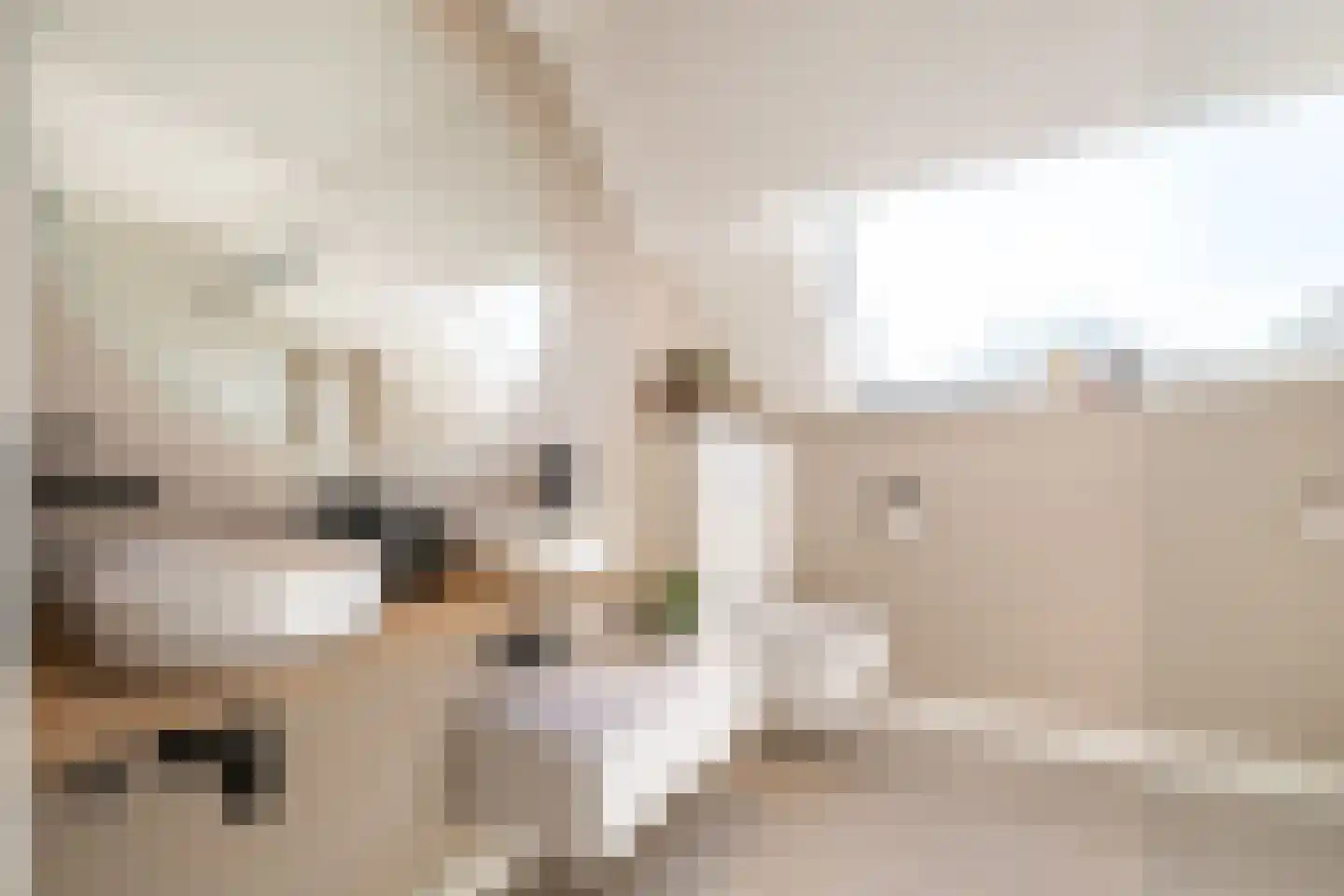 Strausslaan 3 Oss thumbnail 30