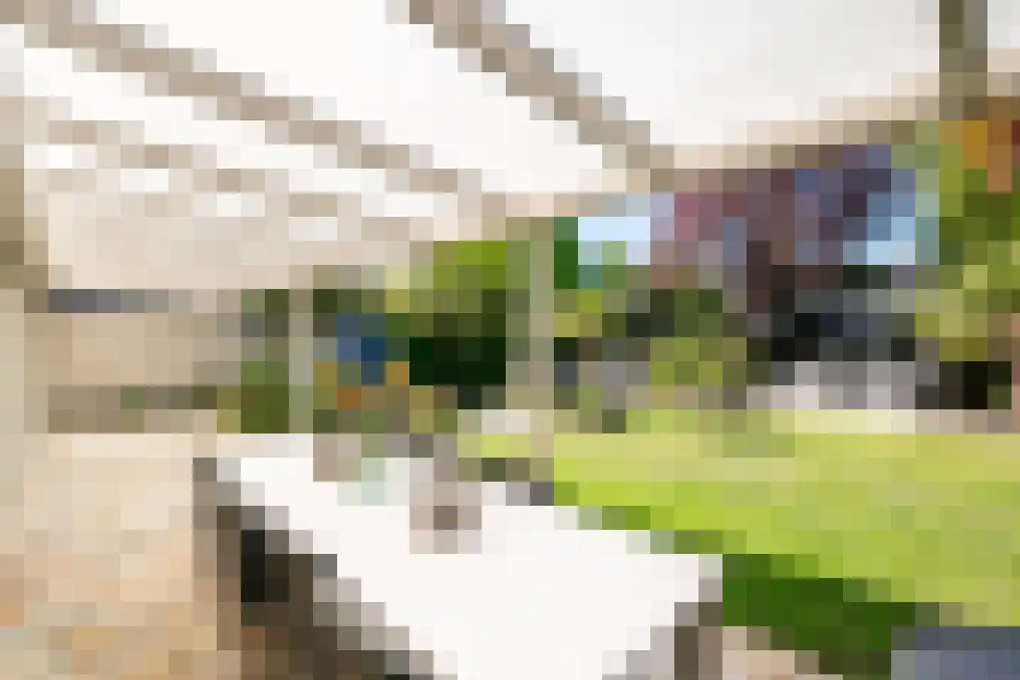 Strausslaan 3 Oss thumbnail 35