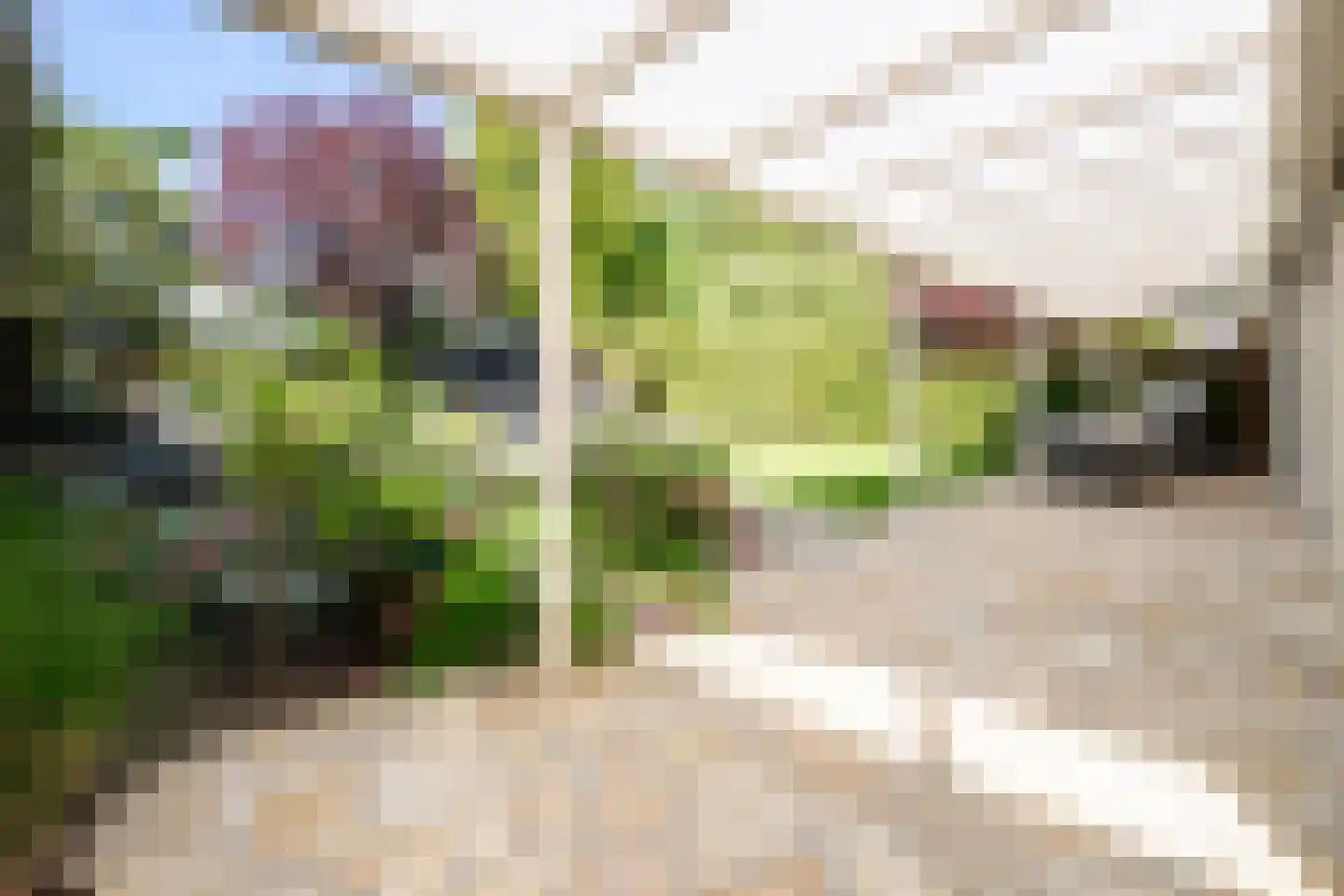 Strausslaan 3 Oss thumbnail 36
