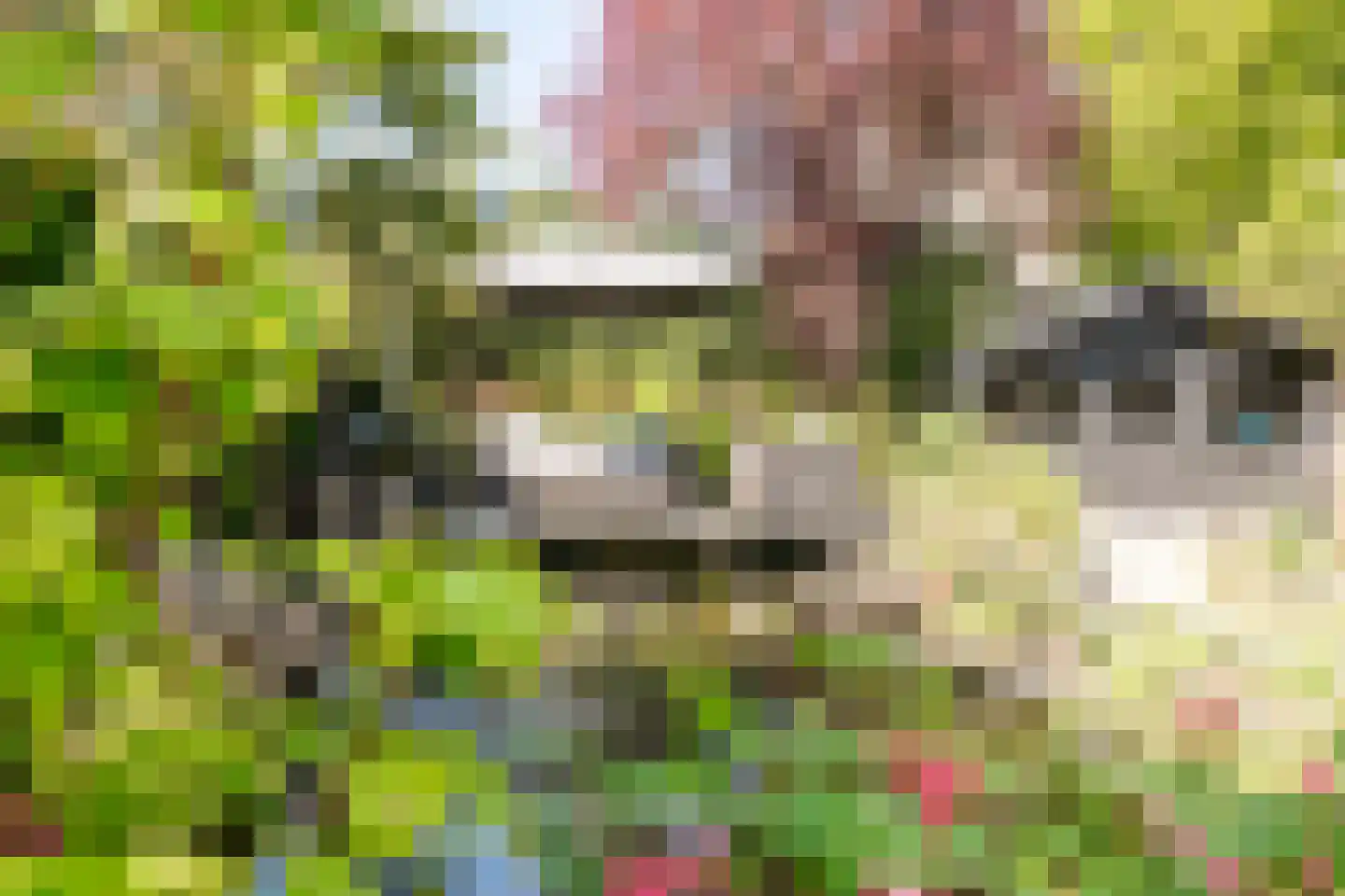 Strausslaan 3 Oss thumbnail 37