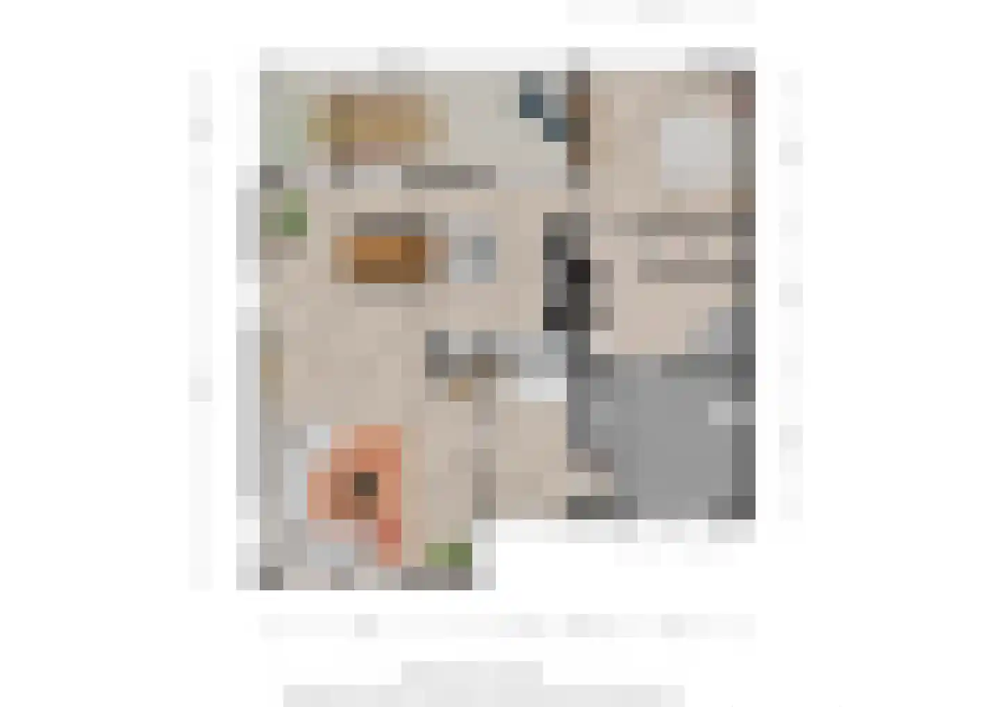 Strausslaan 3 Oss thumbnail 41