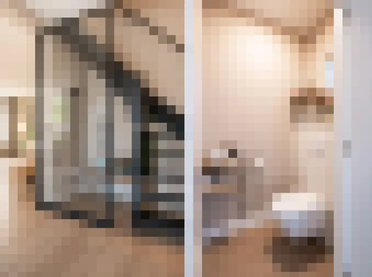 Strausslaan 3 Oss thumbnail 6
