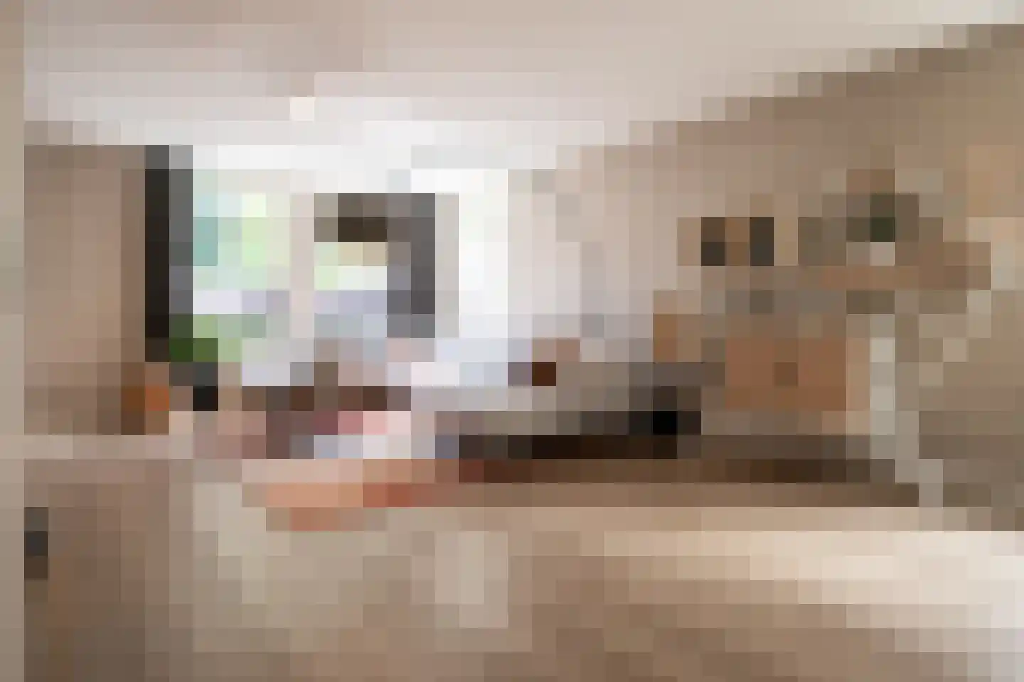 Strausslaan 3 Oss thumbnail 7