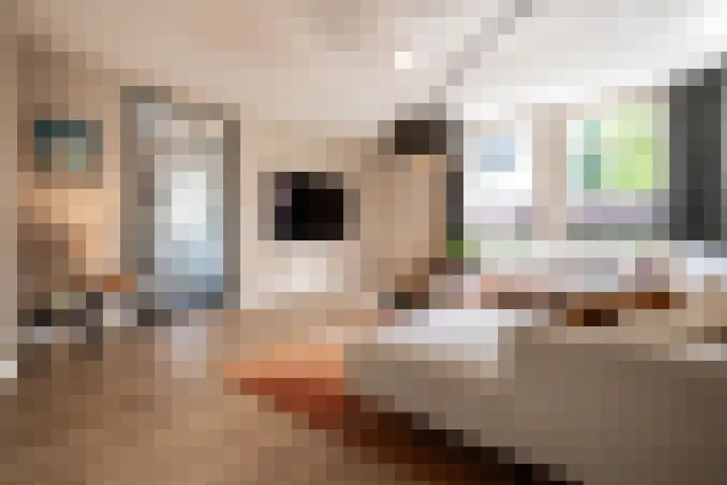 Strausslaan 3 Oss thumbnail 8
