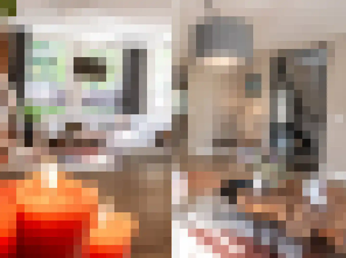 Strausslaan 3 Oss thumbnail 9