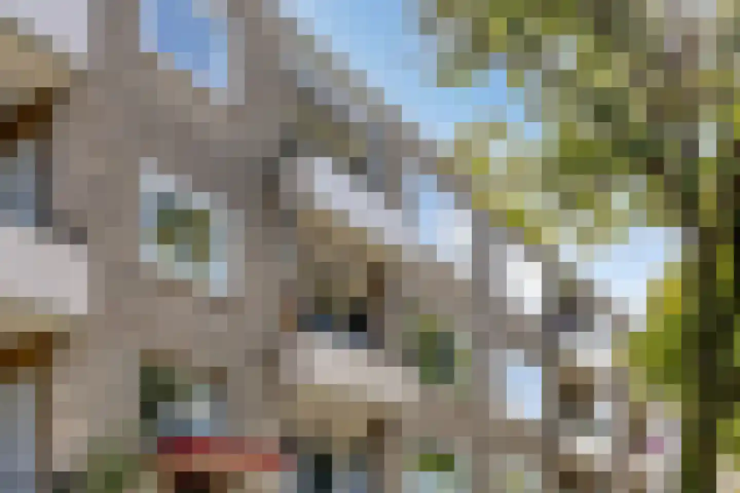 Strausslaan 30 Groningen thumbnail 27