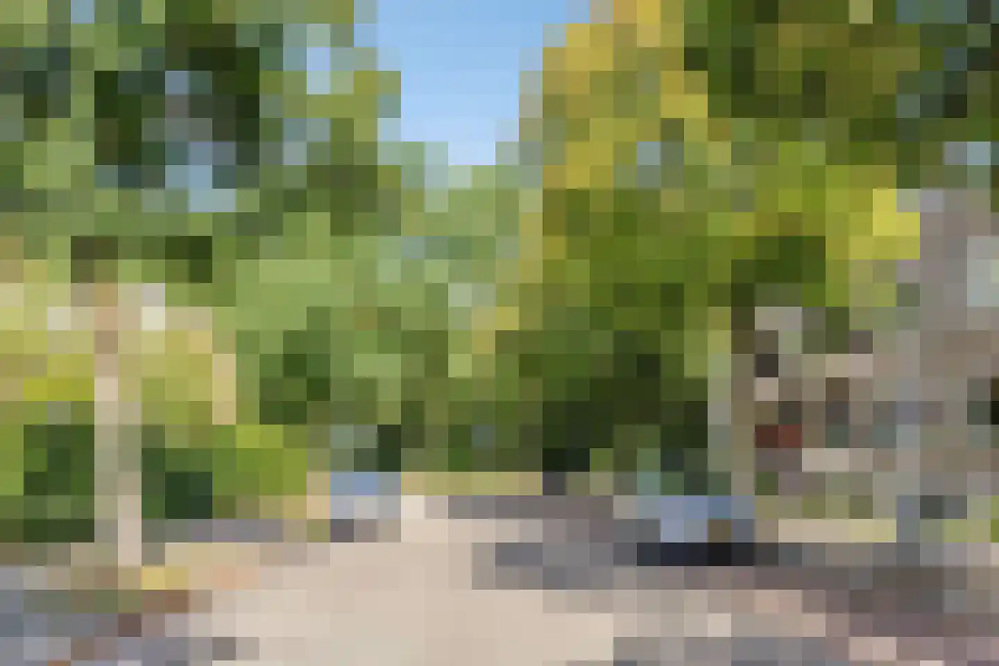 Strausslaan 30 Groningen thumbnail 29