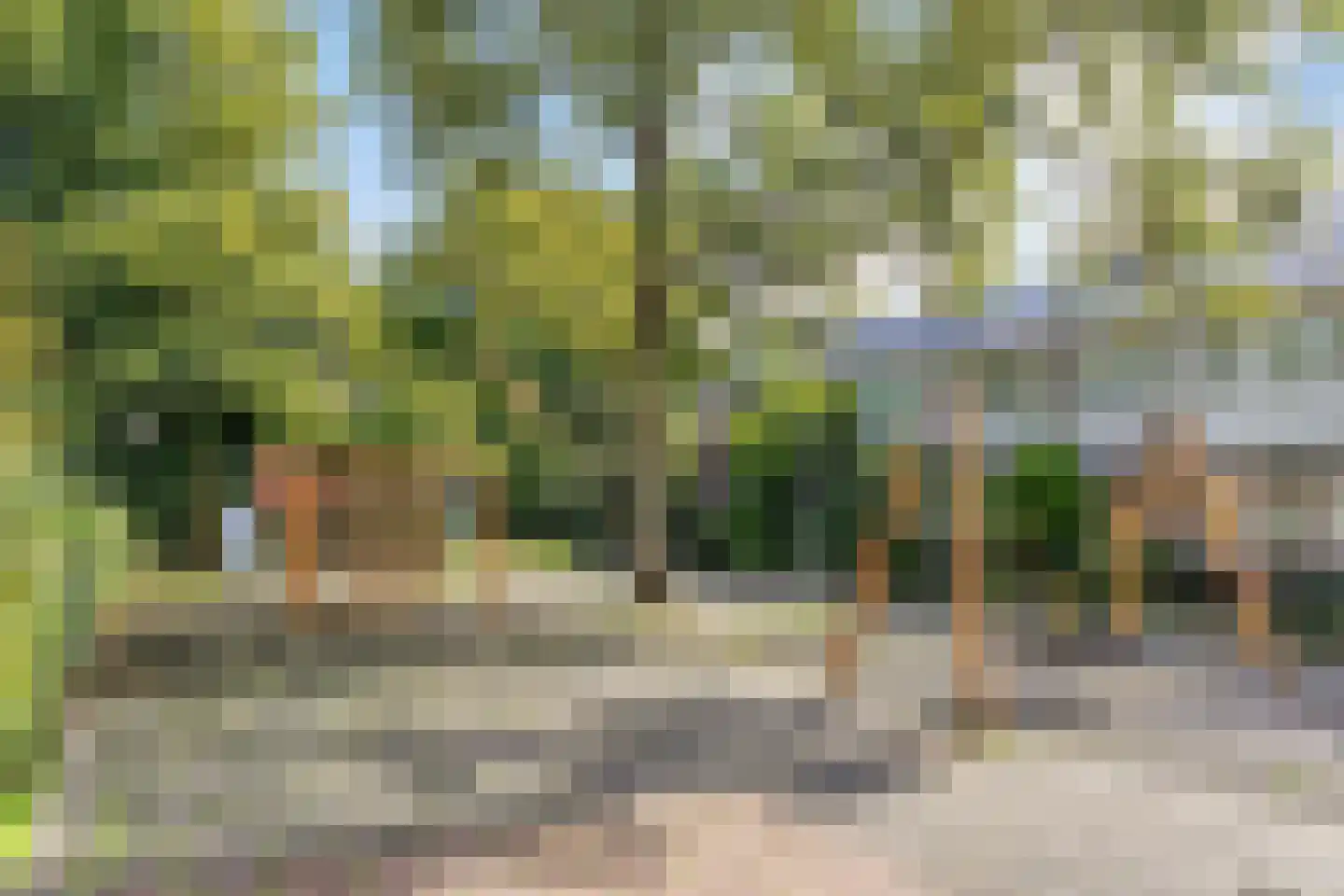 Strausslaan 30 Groningen thumbnail 30