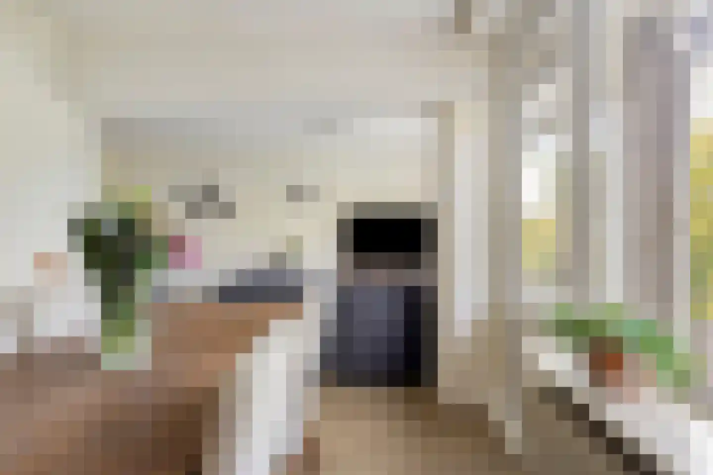 Strausslaan 30 Groningen thumbnail 8