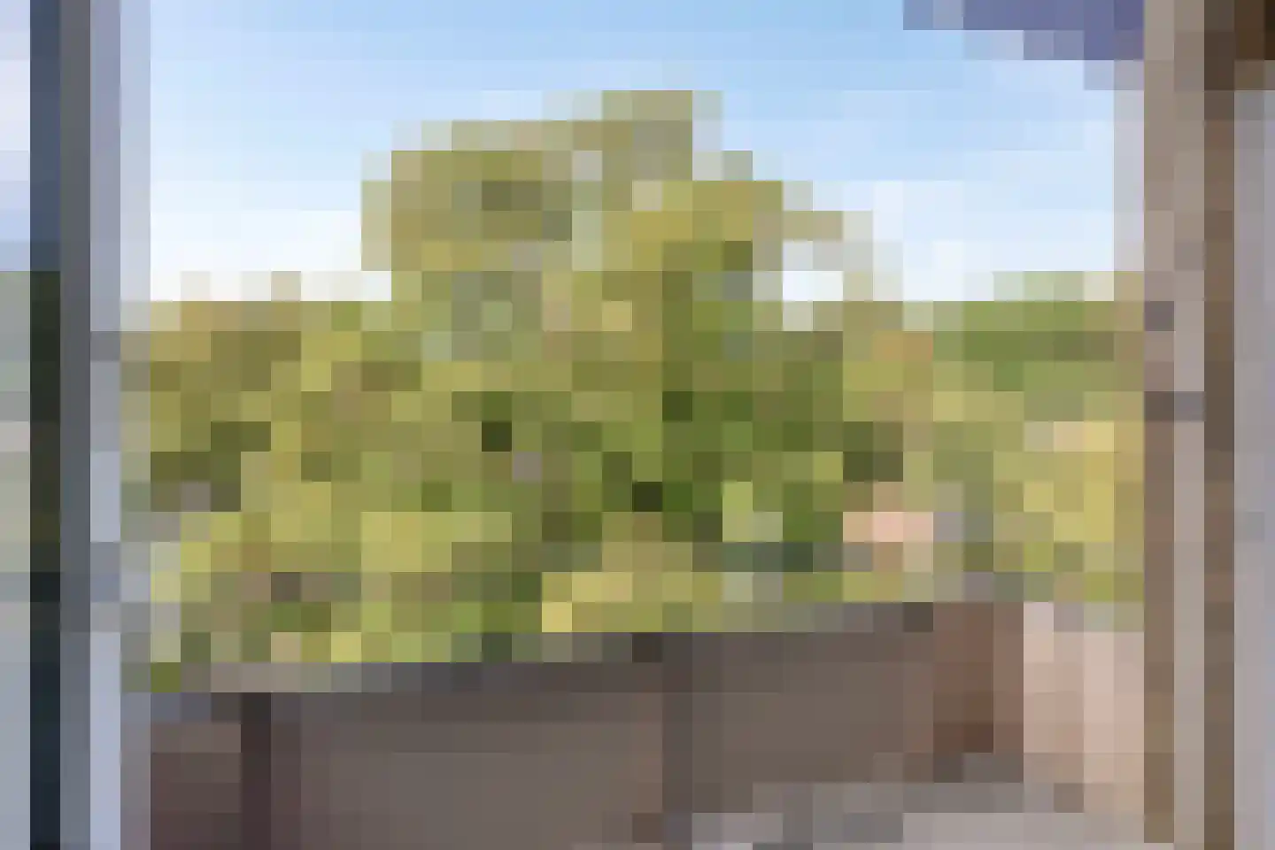 Strausslaan 30 Groningen thumbnail 9
