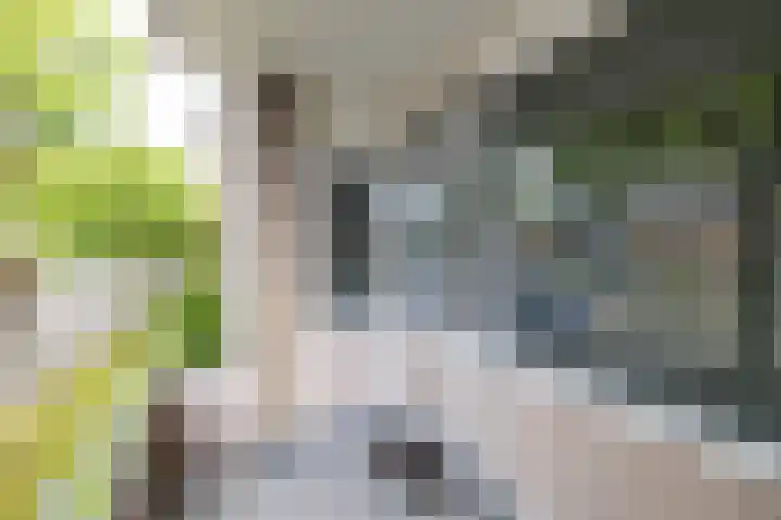 Strausslaan 32 Groningen thumbnail 11