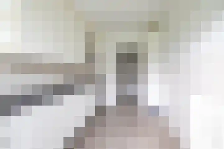 Strausslaan 32 Groningen thumbnail 15