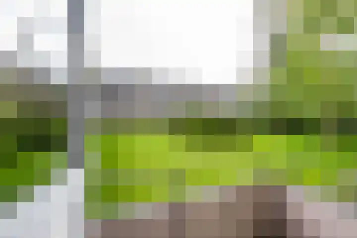 Strausslaan 32 Groningen thumbnail 18