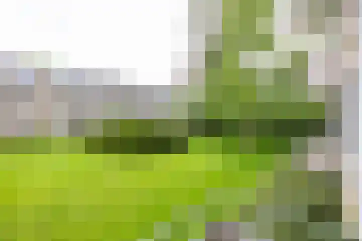 Strausslaan 32 Groningen thumbnail 19
