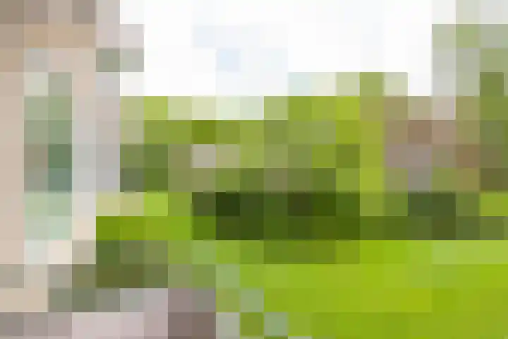Strausslaan 32 Groningen thumbnail 20