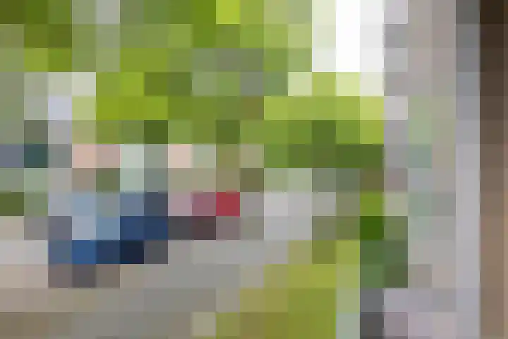 Strausslaan 32 Groningen thumbnail 29