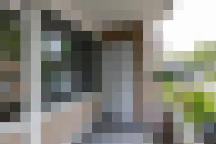 Strausslaan 32 Groningen thumbnail 30