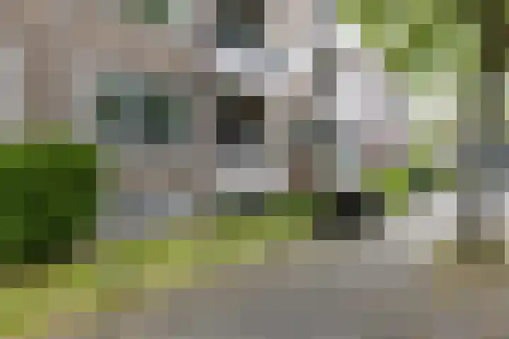 Strausslaan 32 Groningen thumbnail 31