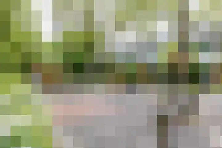 Strausslaan 32 Groningen thumbnail 33