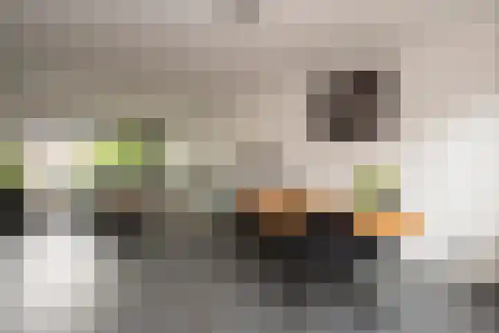 Strausslaan 37 Tilburg thumbnail 10